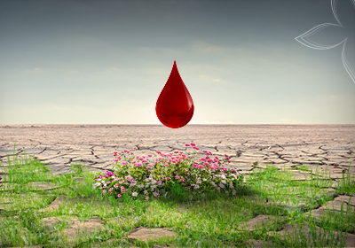 Blood Donation Event